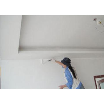 Cement Based Interior Wall Putty White With Synthetic Polym